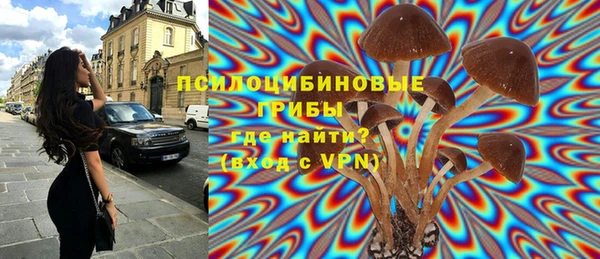 мдпв Беломорск
