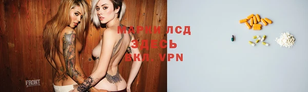 бошки Белокуриха