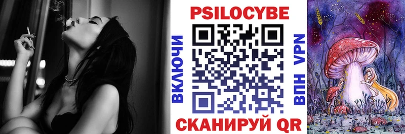 закладки  Чёрмоз  Псилоцибиновые грибы Psilocybine cubensis 